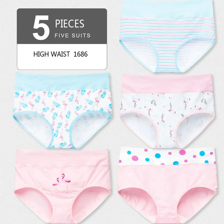 5pc High-Waist Cotton Briefs | Seamless Body Shaper Set