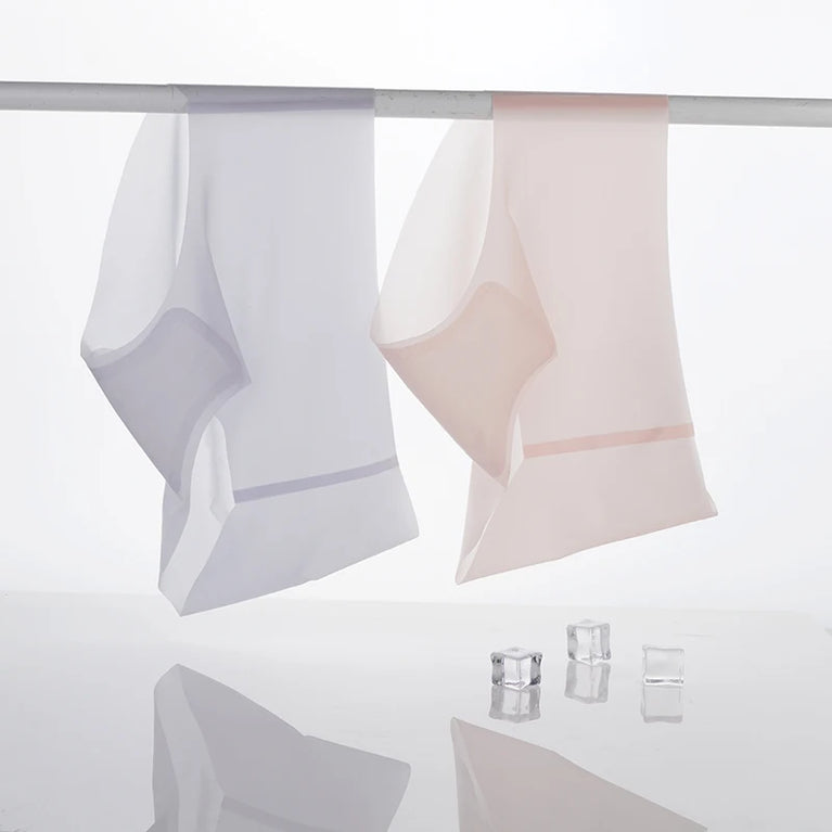 6pc Ice Silk Seamless Briefs | Ultra-Thin Quick-Dry
