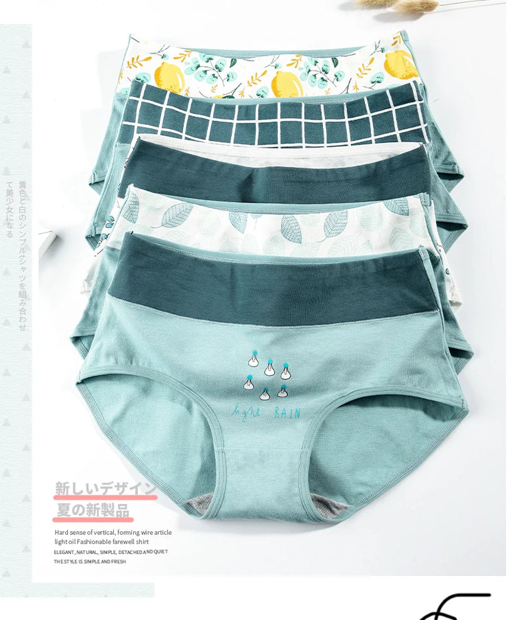 5pc High-Waist Cotton Briefs | Seamless Body Shaper Set