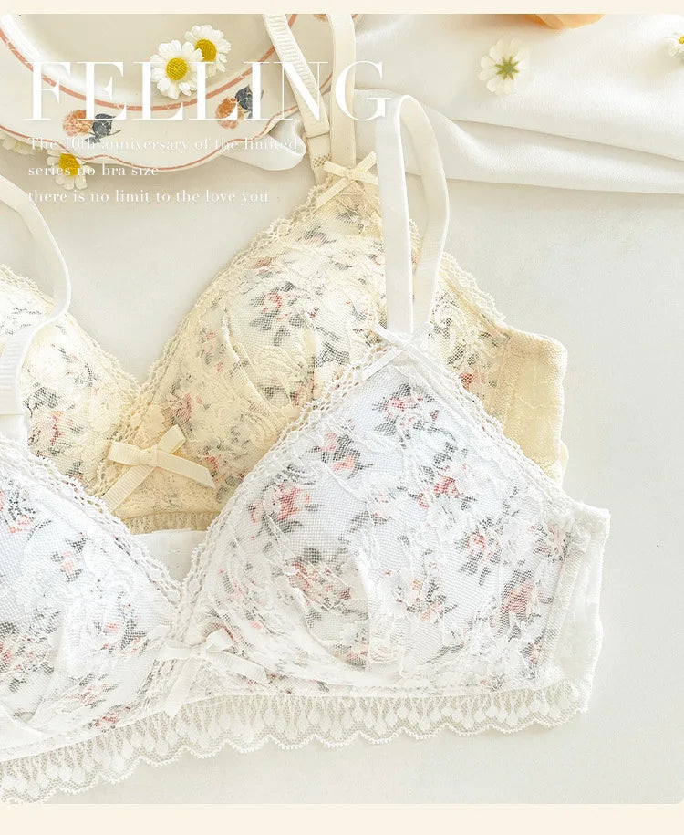 French Lace Bralette | Seamless Transparent Lingerie