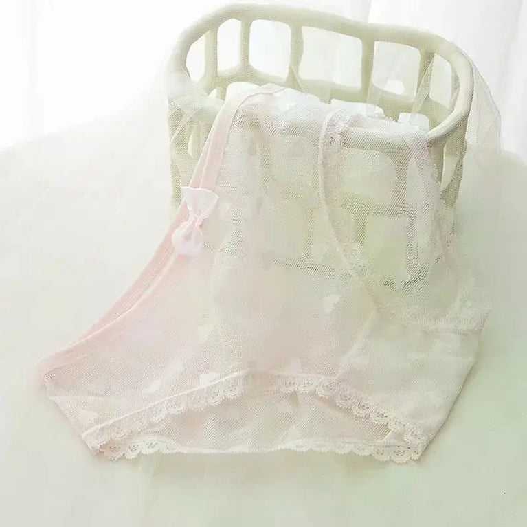 Sweetheart Mesh Briefs | Transparent Bow Heart Panties