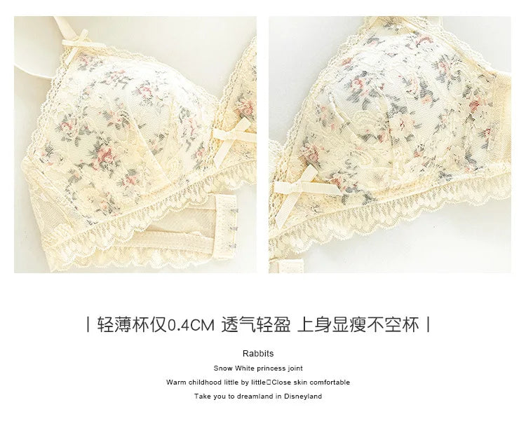 French Lace Bralette | Seamless Transparent Lingerie