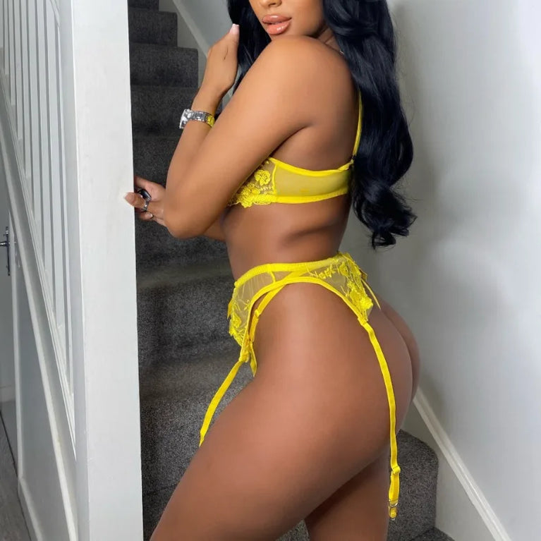 Solid Embroidery Underwire Bra & Brief Set – Sexy Unlined Lingerie