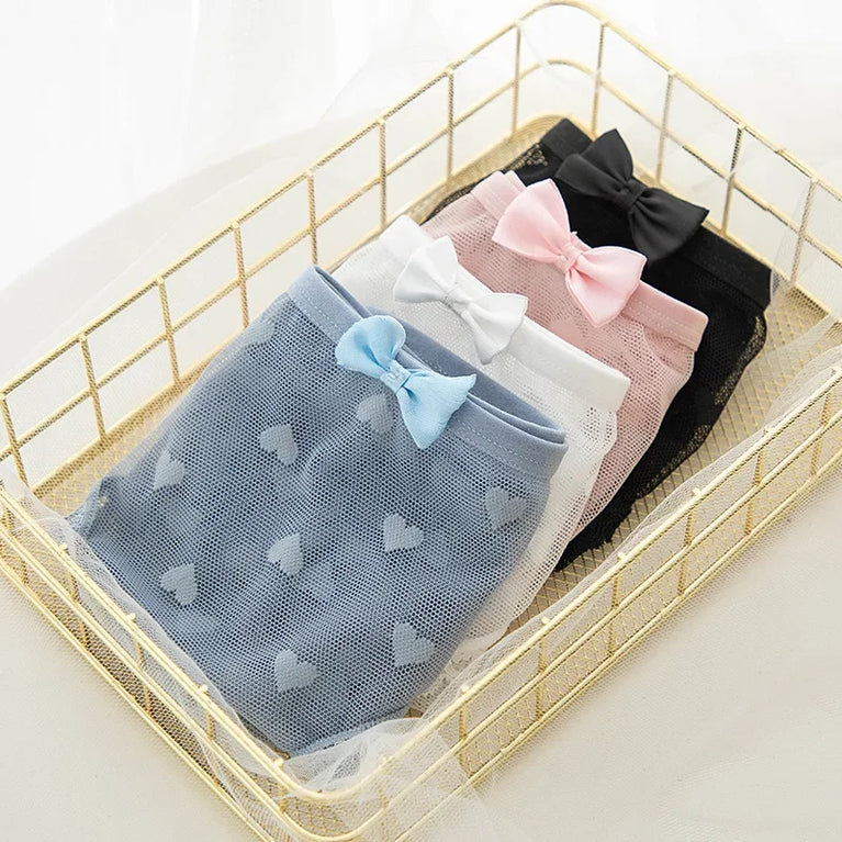 Sweetheart Mesh Briefs | Transparent Bow Heart Panties