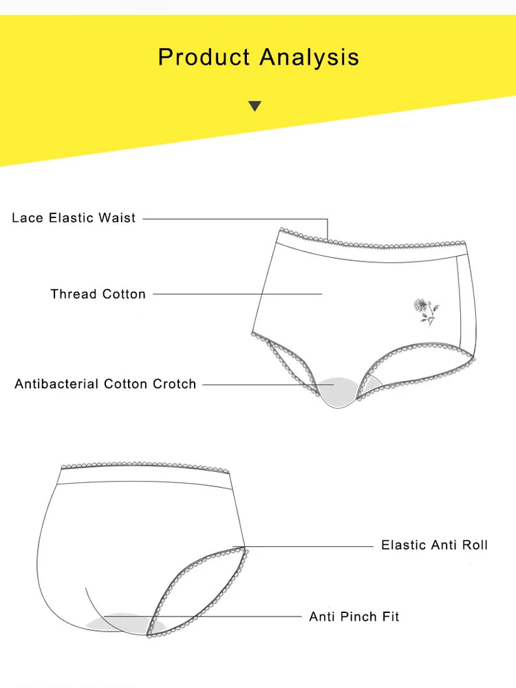 High-Waist Cotton Briefs | Seamless Lace-Trim Panties