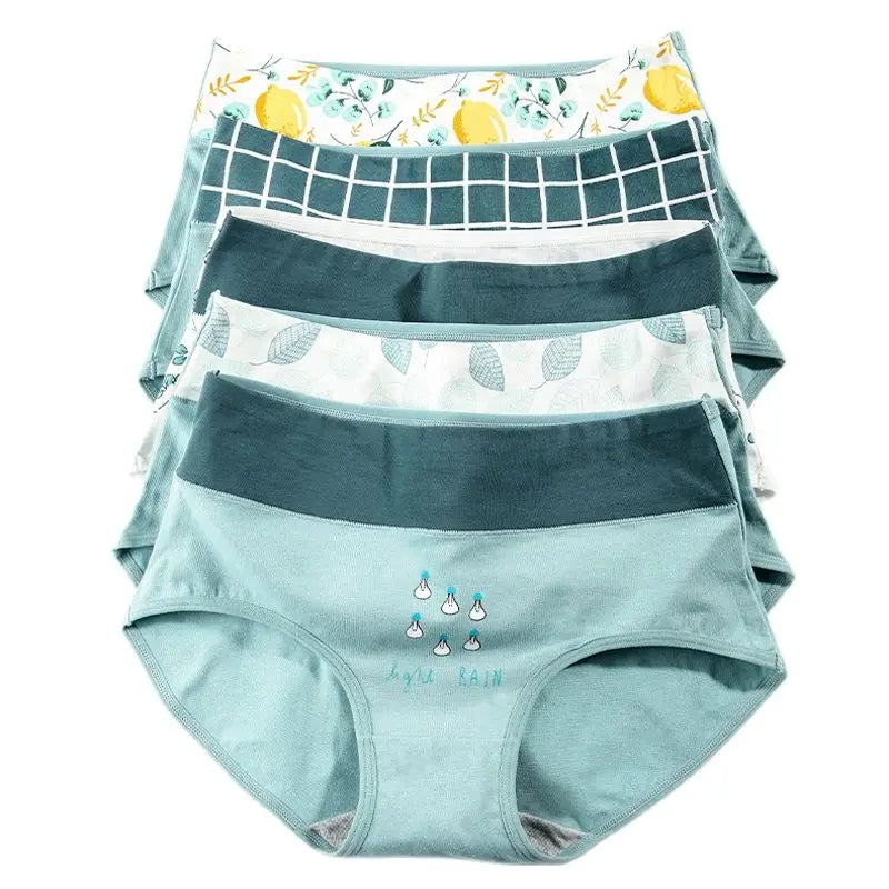 5pc High-Waist Cotton Briefs | Seamless Body Shaper Set