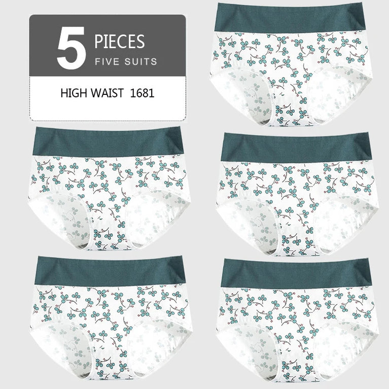 5pc High-Waist Cotton Briefs | Seamless Body Shaper Set