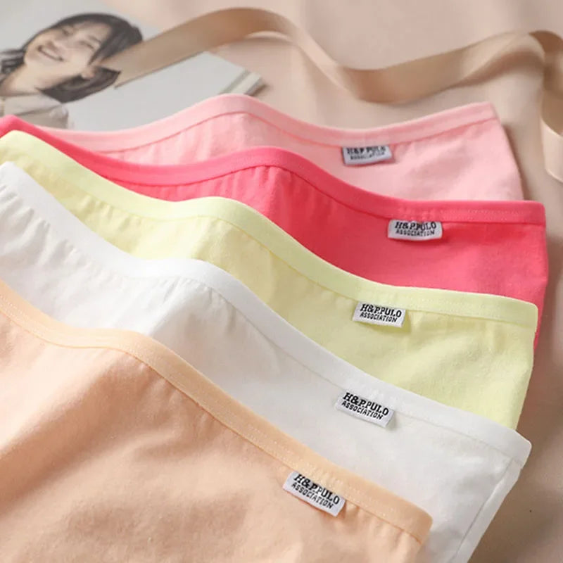 3pc Mid-Rise Cotton Briefs | Breathable Plus Size Comfort Set