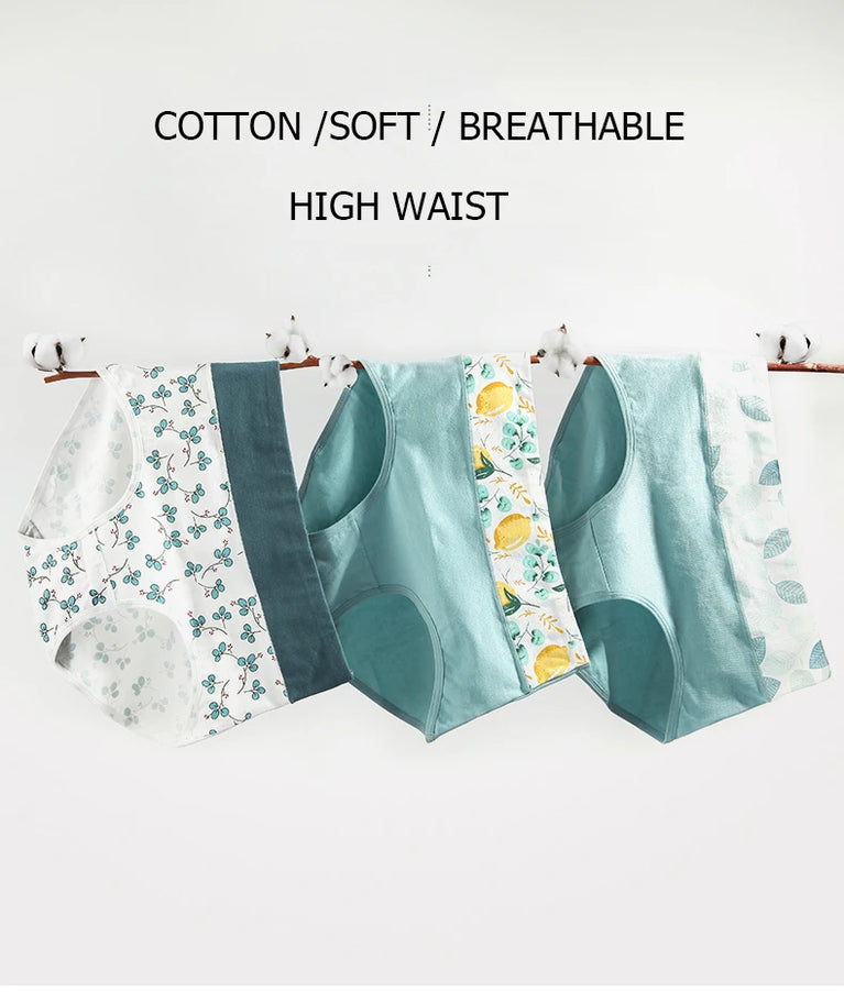 5pc High-Waist Cotton Briefs | Seamless Body Shaper Set