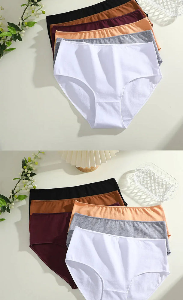 Comfort Cotton Panties (4-Pack) – Mid-Rise Seamless Breathable Briefs