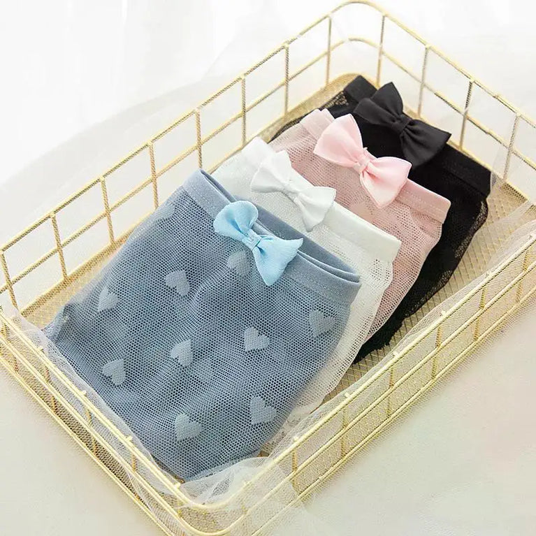 Sweetheart Mesh Briefs | Transparent Bow Heart Panties
