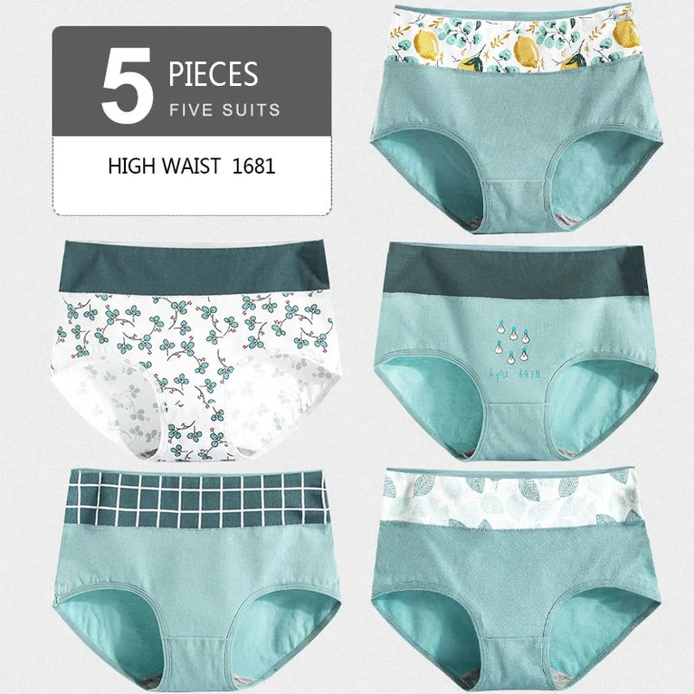 5pc High-Waist Cotton Briefs | Lace Body Shaper Set