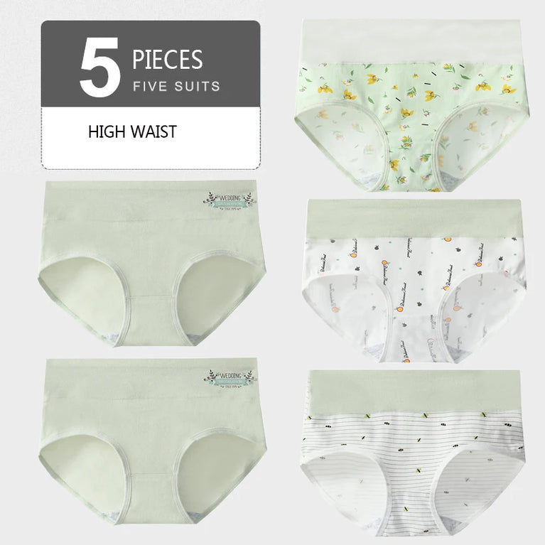 5pc High-Waist Cotton Briefs | Lace Body Shaper Set