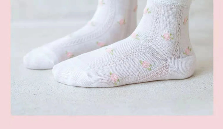 Raise Young 5-Pairs Summer Mesh Socks | Cute Girl’s Princess Set