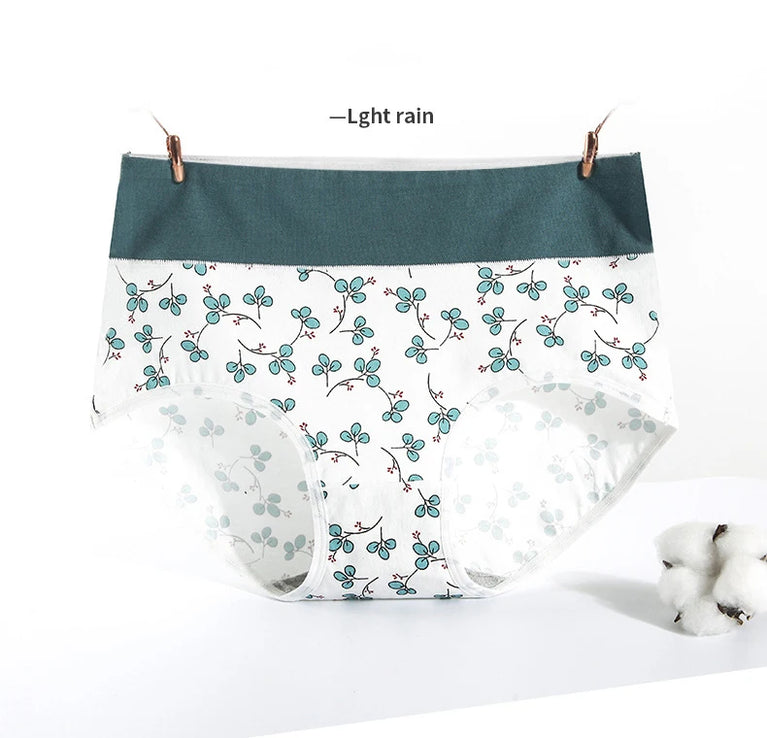 5pc High-Waist Cotton Briefs | Seamless Body Shaper Set