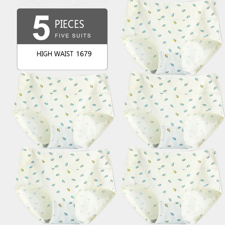 5pc High-Waist Cotton Briefs | Seamless Body Shaper Set