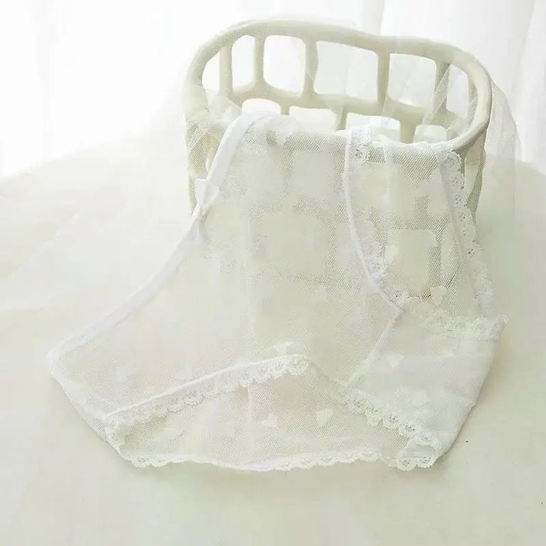 Sweetheart Mesh Briefs | Transparent Bow Heart Panties