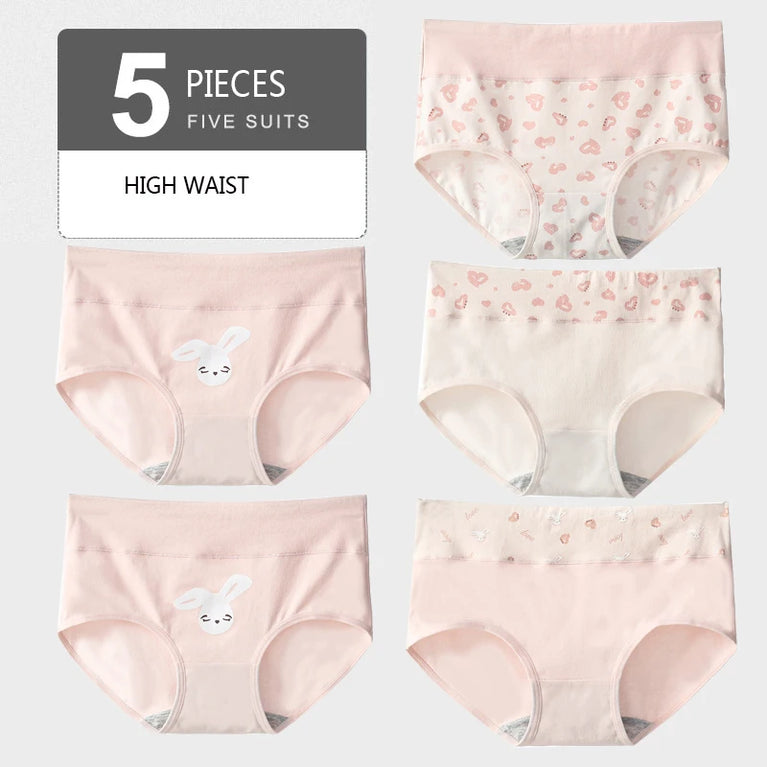 5pc High-Waist Cotton Briefs | Lace Body Shaper Set