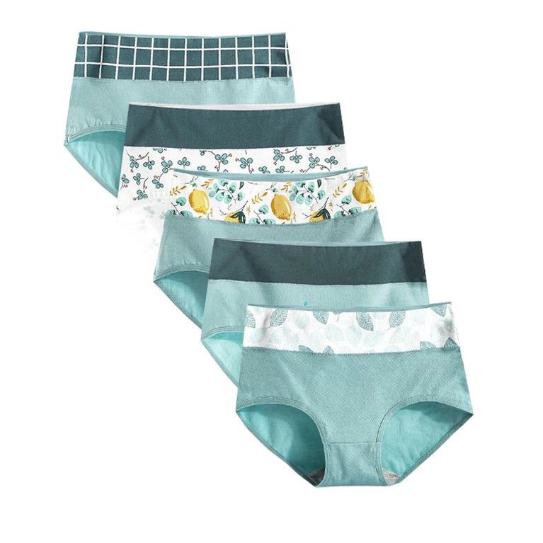 5pc High-Waist Cotton Briefs | Seamless Body Shaper Set
