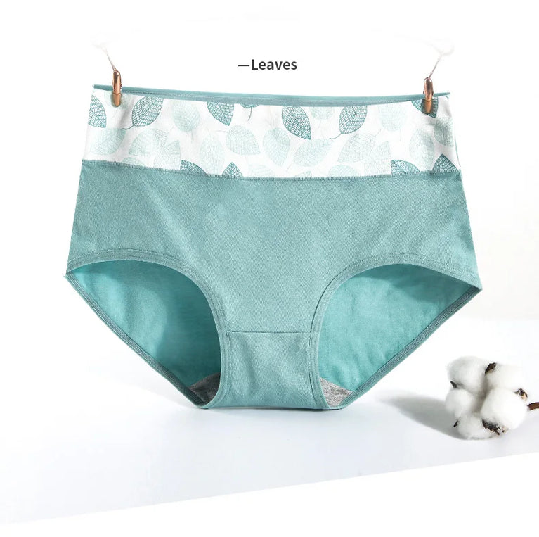 5pc High-Waist Cotton Briefs | Seamless Body Shaper Set