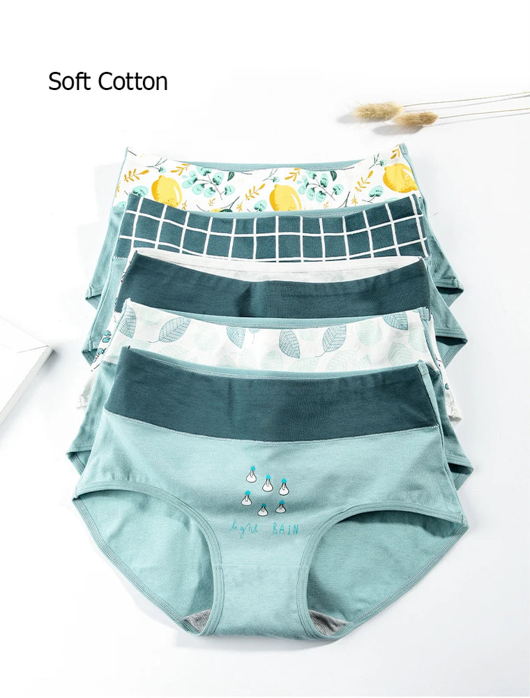5pc High-Waist Cotton Briefs | Seamless Body Shaper Set